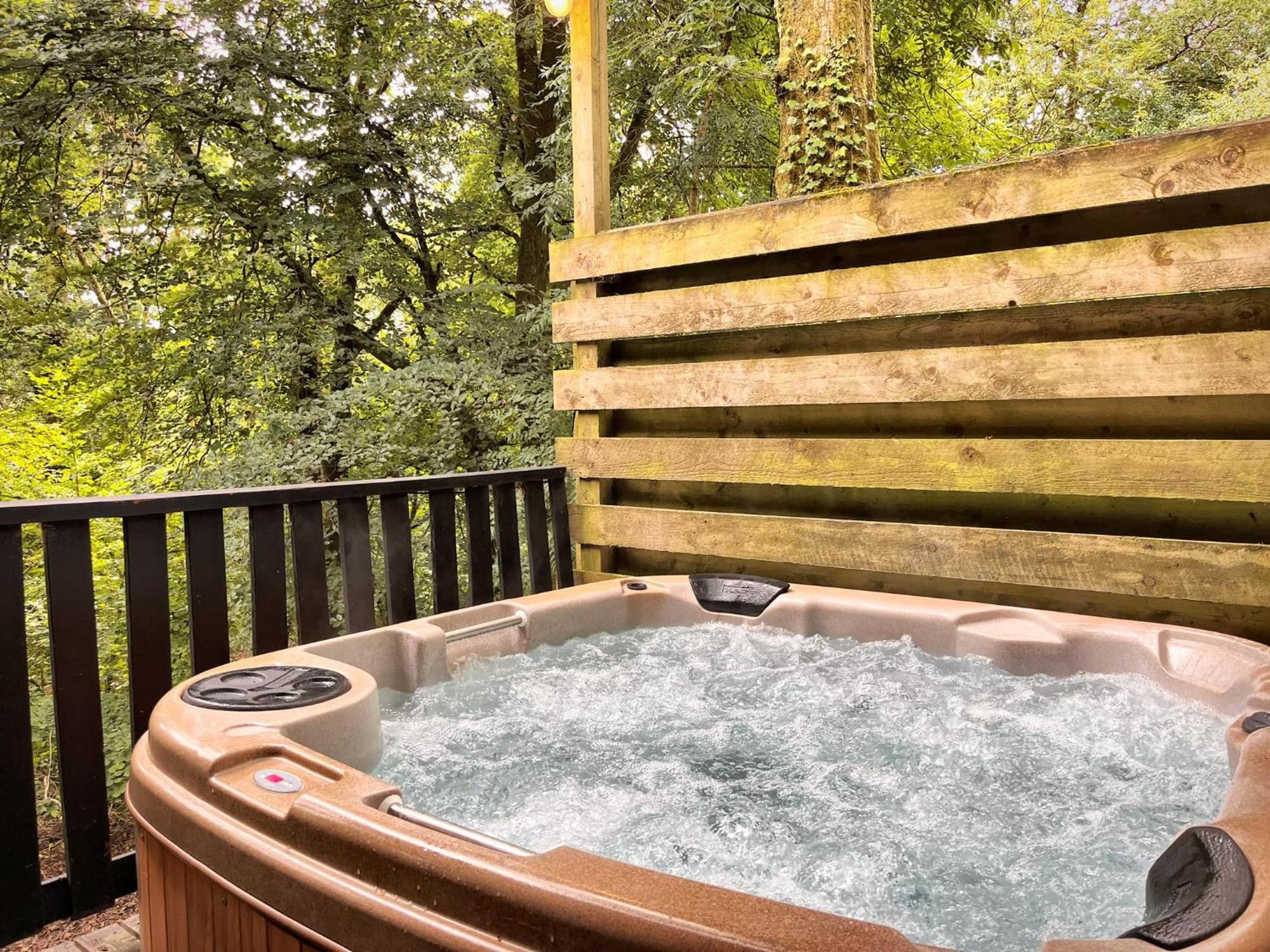 Goldcrest 3-Hot Tub-Woodland Lodges-Carmarthenshire-Tenby Exterior photo